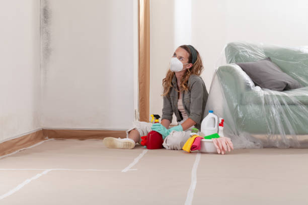 Reliable Mold Inspection contractor in Lake Leelanau, MI by WQB Mold Removal
